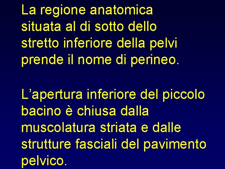 La regione anatomica situata al di sotto dello stretto inferiore della pelvi prende il