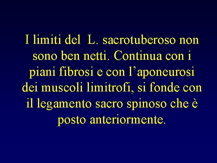 I limiti del L. sacrotuberoso non sono ben netti. Continua con i piani fibrosi