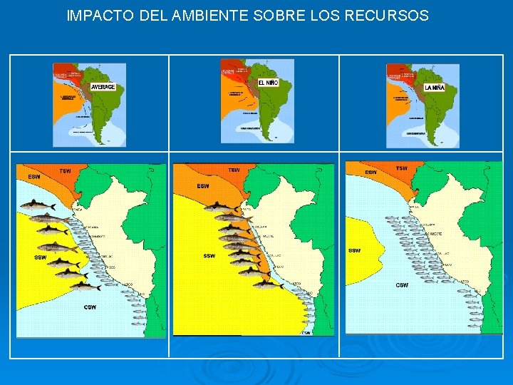 IMPACTO DEL AMBIENTE SOBRE LOS RECURSOS 