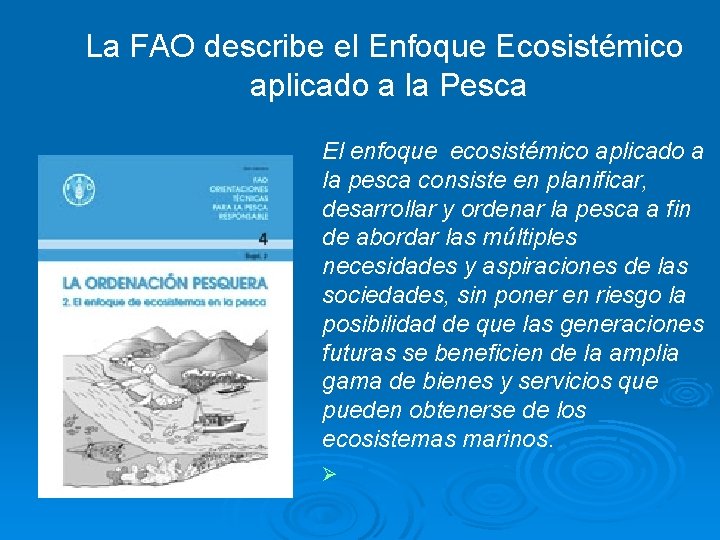 La FAO describe el Enfoque Ecosistémico aplicado a la Pesca El enfoque ecosistémico aplicado