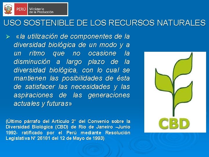 USO SOSTENIBLE DE LOS RECURSOS NATURALES Ø «la utilización de componentes de la diversidad