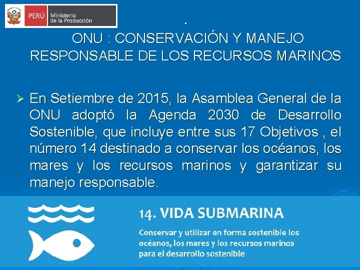 . ONU : CONSERVACIÓN Y MANEJO RESPONSABLE DE LOS RECURSOS MARINOS Ø En Setiembre