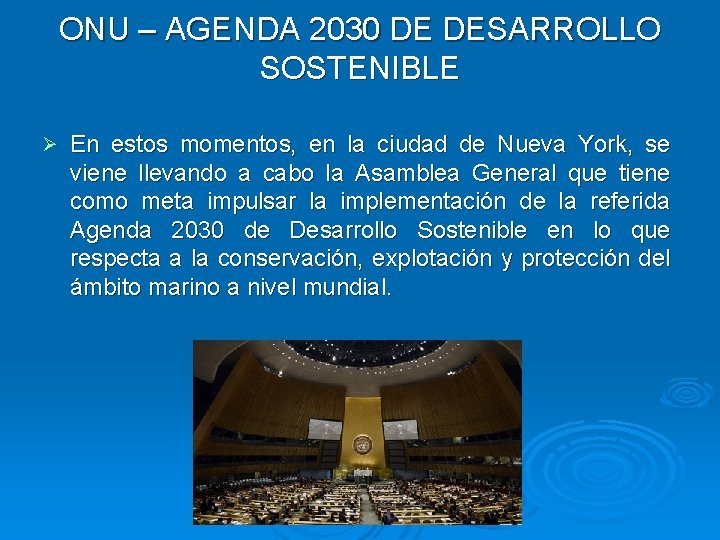 ONU – AGENDA 2030 DE DESARROLLO SOSTENIBLE Ø En estos momentos, en la ciudad