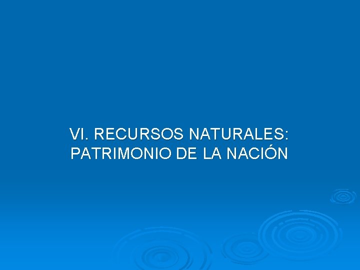 VI. RECURSOS NATURALES: PATRIMONIO DE LA NACIÓN 