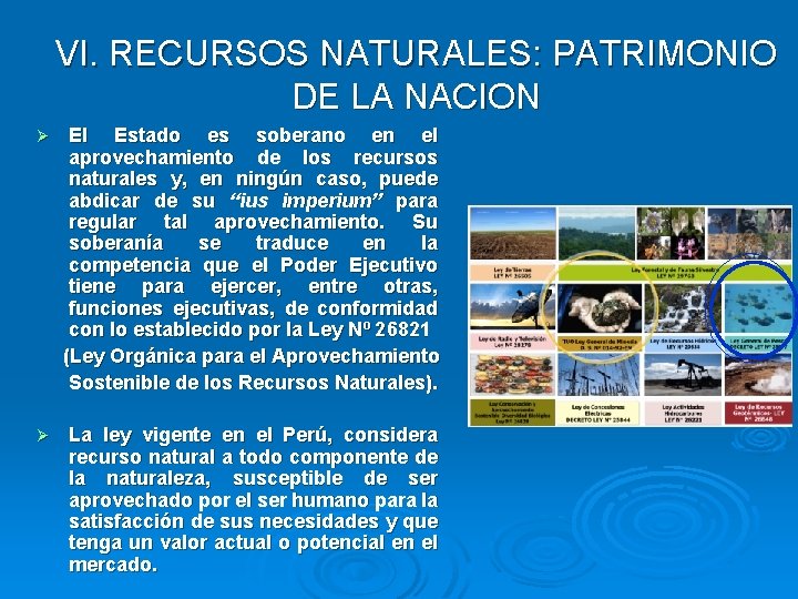 VI. RECURSOS NATURALES: PATRIMONIO DE LA NACION El Estado es soberano en el aprovechamiento