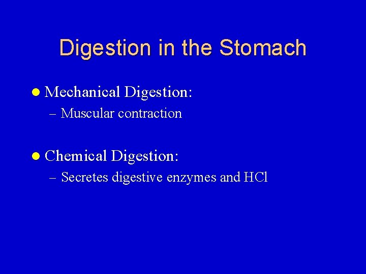 Digestion in the Stomach l Mechanical Digestion: – Muscular contraction l Chemical Digestion: –