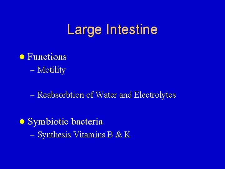 Large Intestine l Functions – Motility – Reabsorbtion of Water and Electrolytes l Symbiotic