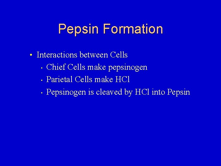Pepsin Formation • Interactions between Cells • • • Chief Cells make pepsinogen Parietal