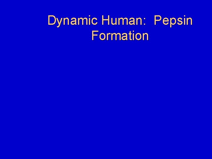 Dynamic Human: Pepsin Formation 