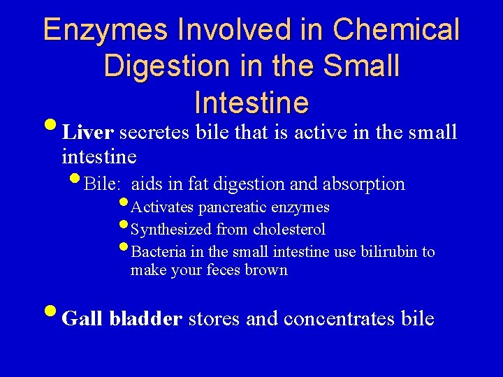 Enzymes Involved in Chemical Digestion in the Small Intestine • Liver secretes bile that