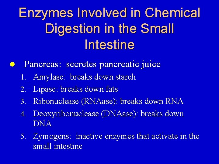 Enzymes Involved in Chemical Digestion in the Small Intestine l Pancreas: secretes pancreatic juice