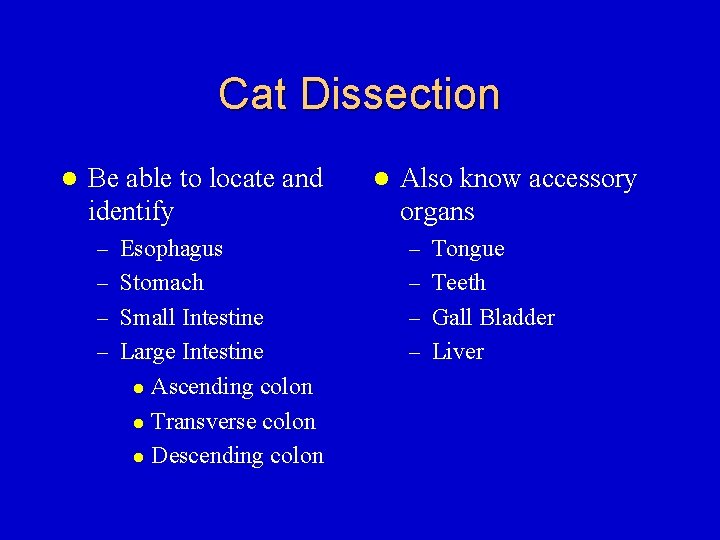 Cat Dissection l Be able to locate and identify l Also know accessory organs