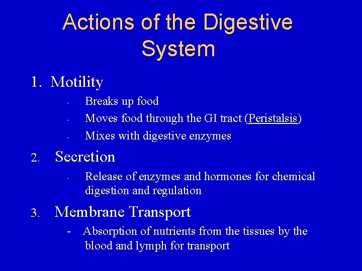 Actions of the Digestive System 1. Motility - 2. Secretion - 3. Breaks up