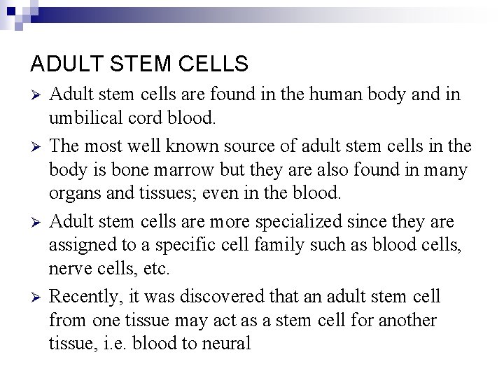ADULT STEM CELLS Ø Ø Adult stem cells are found in the human body