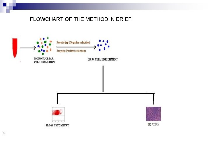 FLOWCHART OF THE METHOD IN BRIEF 