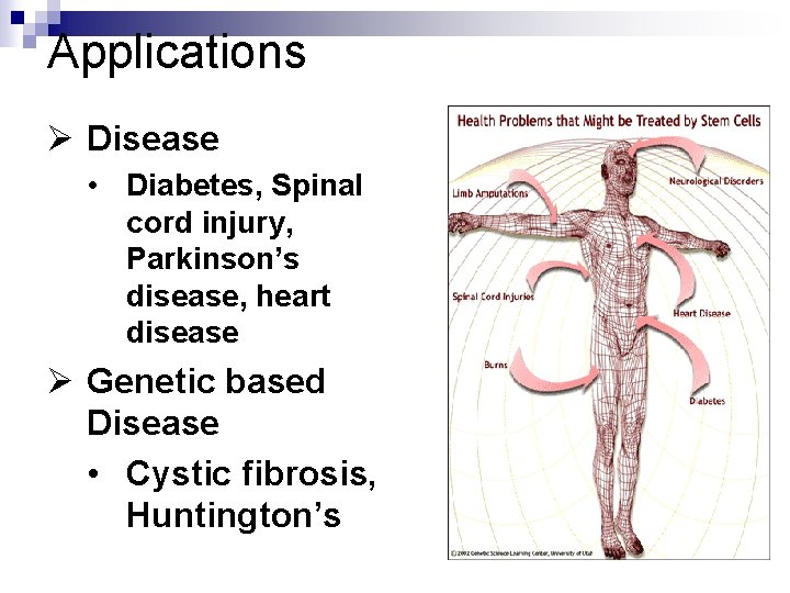 Applications Ø Disease • Diabetes, Spinal cord injury, Parkinson’s disease, heart disease Ø Genetic