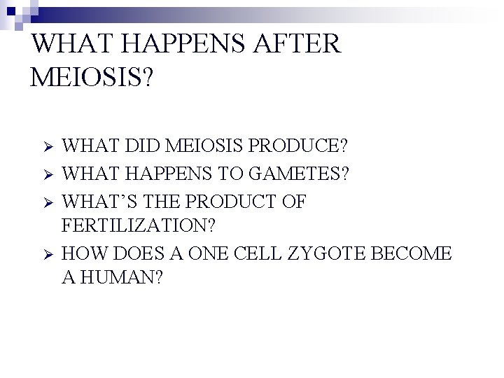 WHAT HAPPENS AFTER MEIOSIS? Ø Ø WHAT DID MEIOSIS PRODUCE? WHAT HAPPENS TO GAMETES?