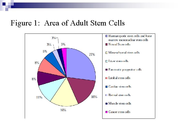 Figure 1: Area of Adult Stem Cells 
