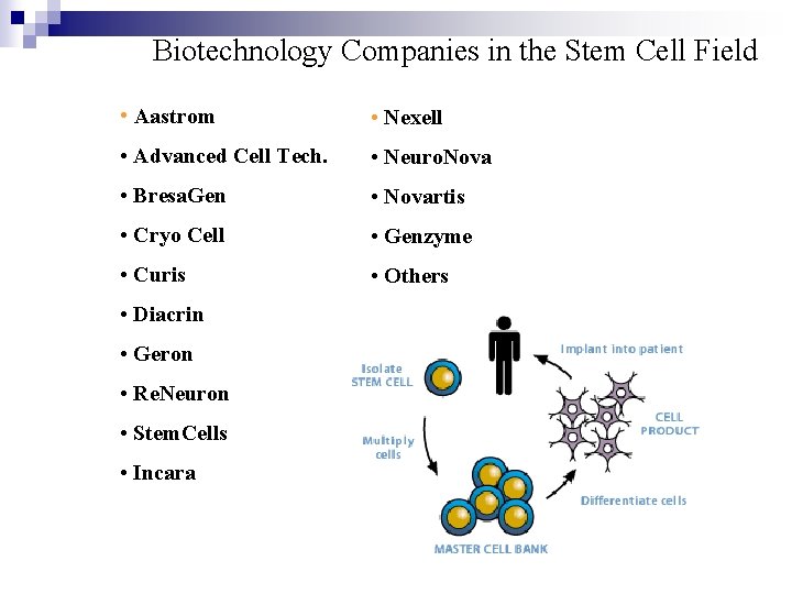 Biotechnology Companies in the Stem Cell Field • Aastrom • Nexell • Advanced Cell