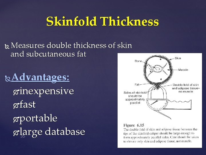 Skinfold Thickness Measures double thickness of skin and subcutaneous fat Advantages: inexpensive fast portable