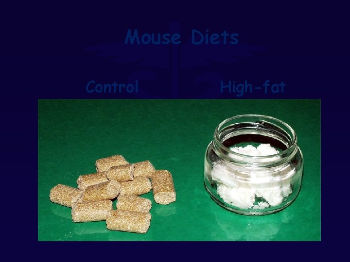 Mouse Diets Control High-fat 