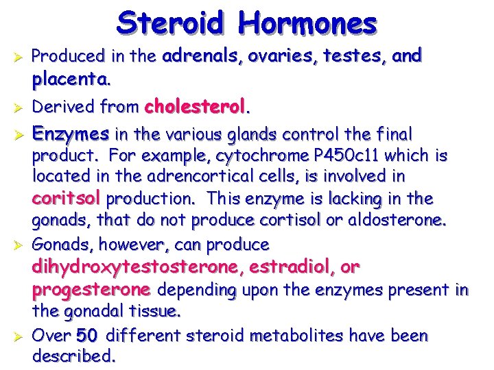 Steroid Hormones Ø Ø Ø Produced in the adrenals, ovaries, testes, and placenta. Derived