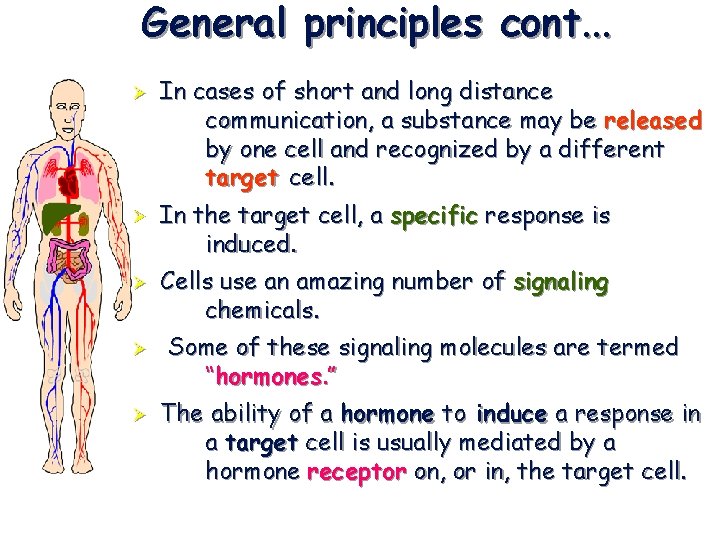 General principles cont. . . Ø Ø Ø In cases of short and long