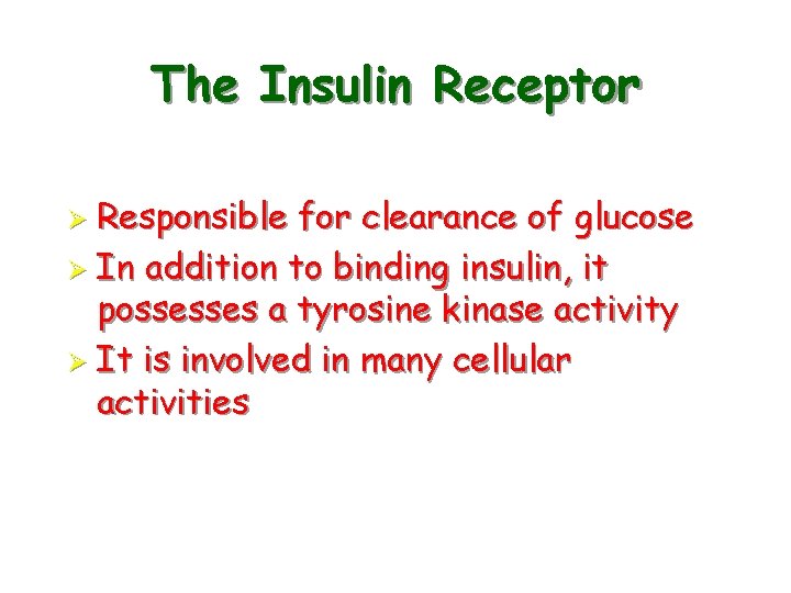 The Insulin Receptor Ø Responsible for clearance of glucose Ø In addition to binding