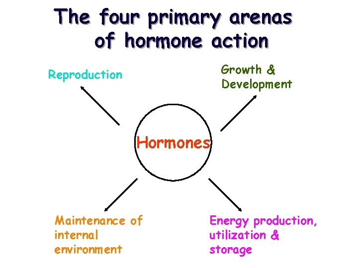 The four primary arenas of hormone action Growth & Development Reproduction Hormones Maintenance of