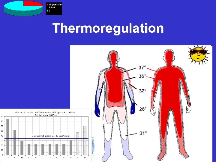 Thermoregulation 