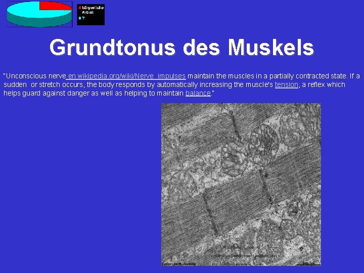 Grundtonus des Muskels “Unconscious nerve en. wikipedia. org/wiki/Nerve_impulses maintain the muscles in a partially
