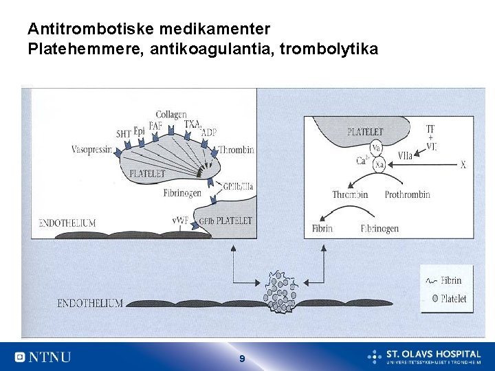 Antitrombotiske medikamenter Platehemmere, antikoagulantia, trombolytika 9 