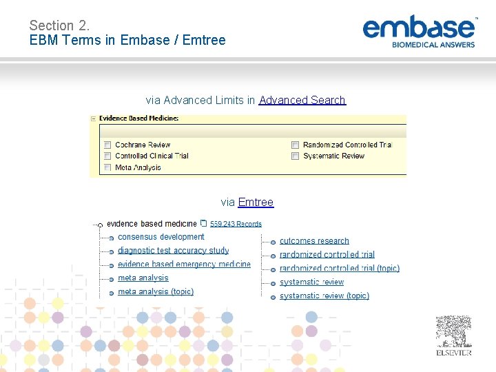 Section 2. EBM Terms in Embase / Emtree via Advanced Limits in Advanced Search