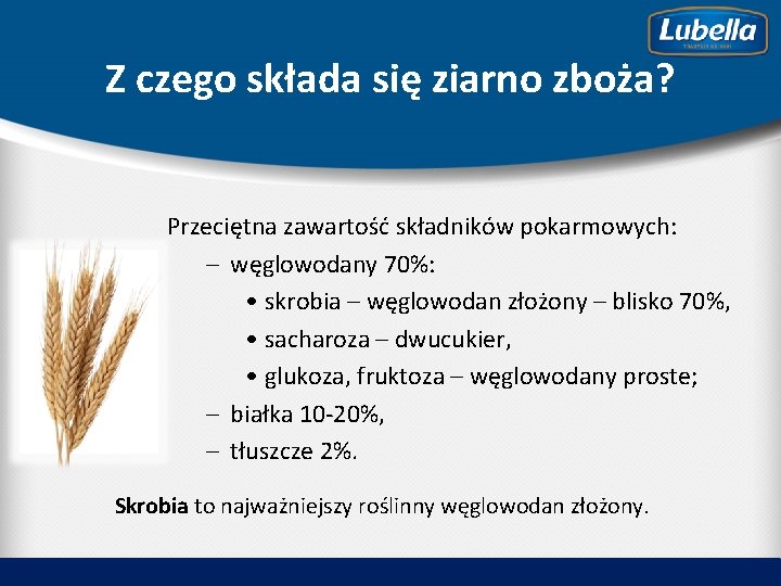 Z czego składa się ziarno zboża? Przeciętna zawartość składników pokarmowych: – węglowodany 70%: •