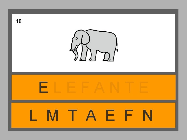 18 ELEFANTE L M T A E F N 