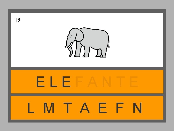 18 ELEFANTE L M T A E F N 