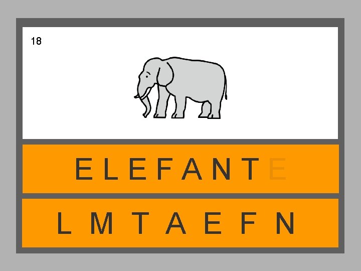 18 ELEFANTE L M T A E F N 