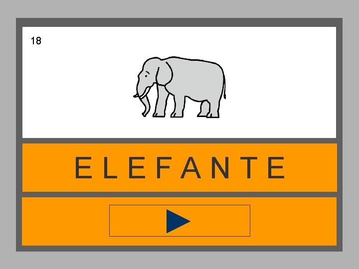 18 ELEFANTE 