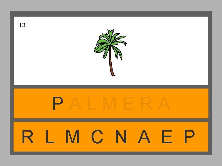 13 PALMERA R L M C N A E P 