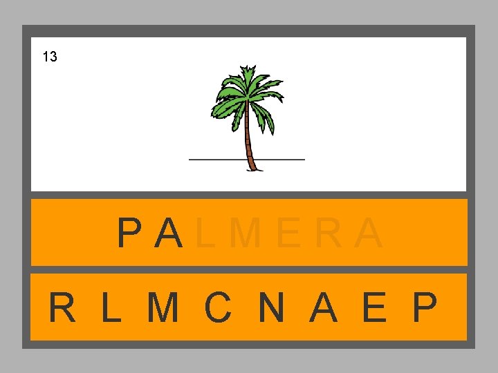 13 PALMERA R L M C N A E P 