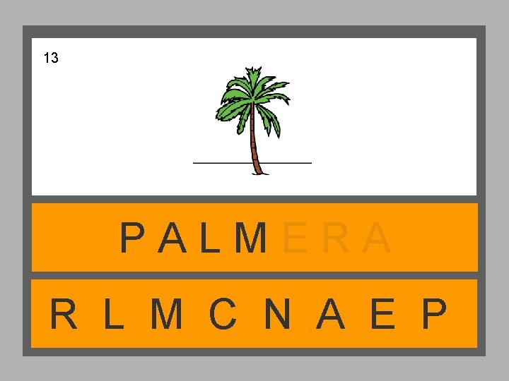 13 PALMERA R L M C N A E P 