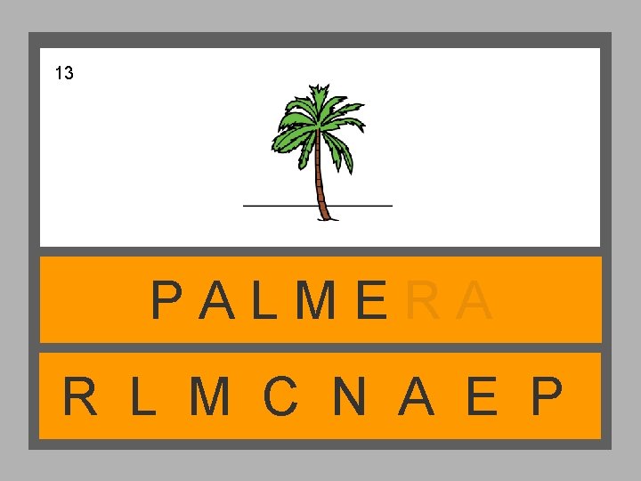 13 PALMERA R L M C N A E P 