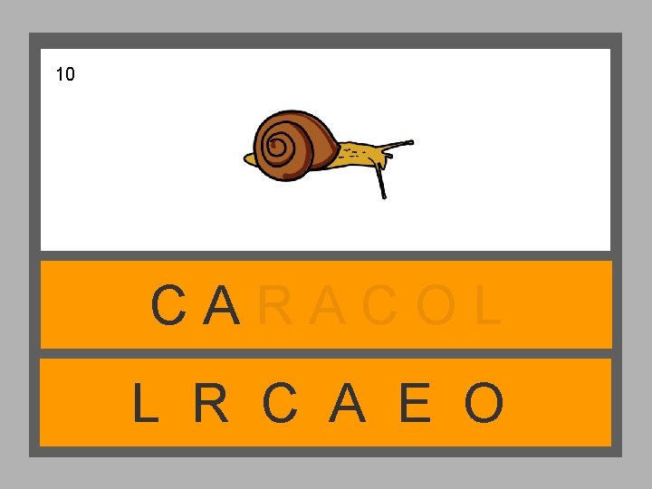 10 CARACOL L R C A E O 