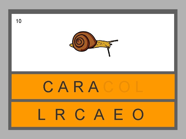 10 CARACOL L R C A E O 