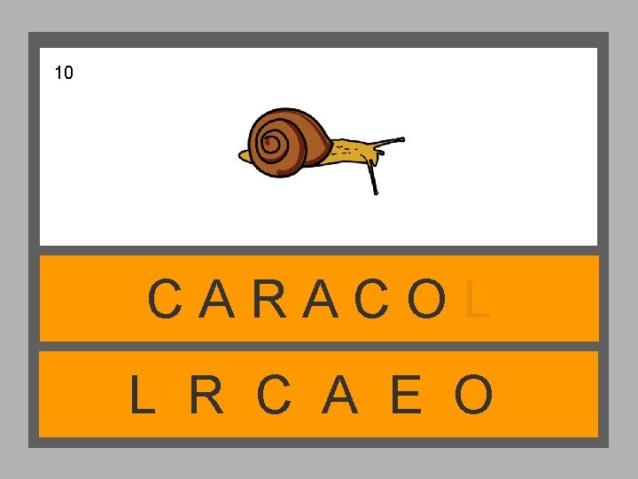 10 CARACOL L R C A E O 