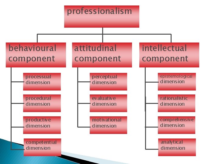 professionalism behavioural component attitudinal component intellectual component processual dimension perceptual dimension epistemological procedural dimension