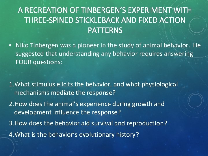 A RECREATION OF TINBERGEN’S EXPERIMENT WITH THREE-SPINED STICKLEBACK AND FIXED ACTION PATTERNS • Niko