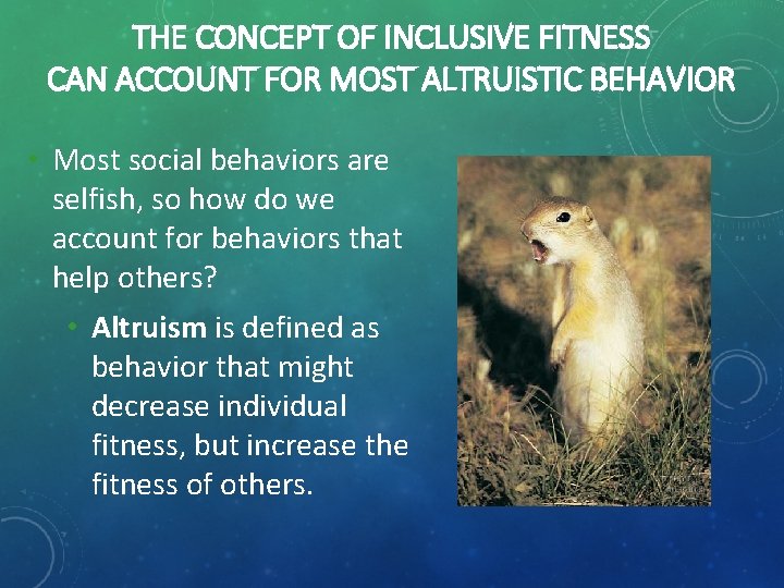 THE CONCEPT OF INCLUSIVE FITNESS CAN ACCOUNT FOR MOST ALTRUISTIC BEHAVIOR • Most social