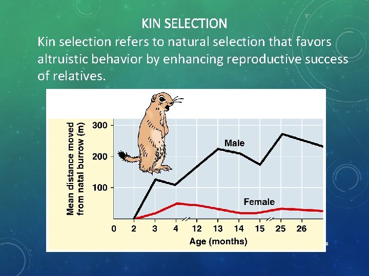 KIN SELECTION Kin selection refers to natural selection that favors altruistic behavior by enhancing