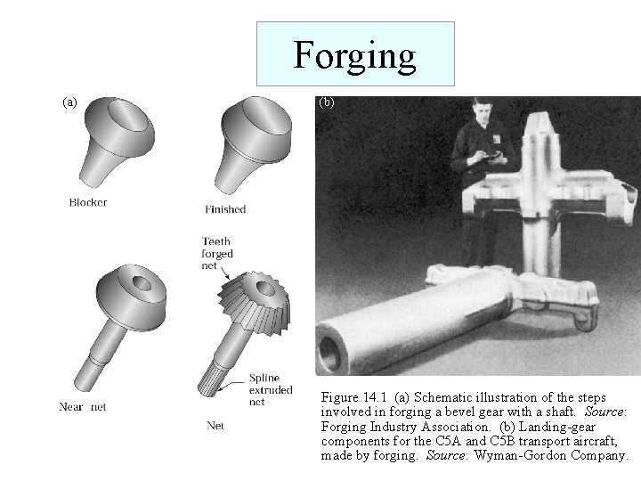 Forging (a) (b) Figure 14. 1 (a) Schematic illustration of the steps involved in